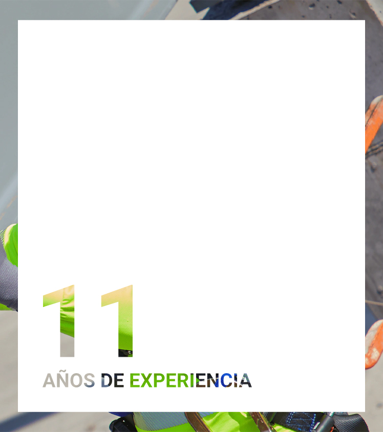 11 años de experiencia